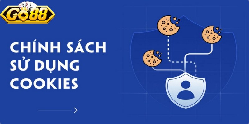 Nhóm dữ liệu cần thiết đóng vai trò duy trì hoạt động cơ bản của nền tảng